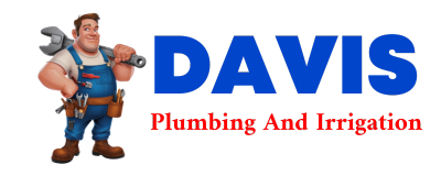 Trusted plumber in CLARISSA